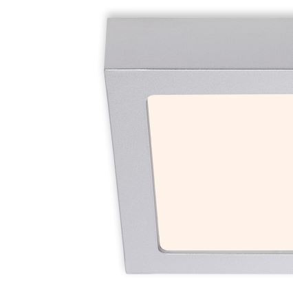 Briloner 7123-014 - Plafonnier LED FIRE LED/12W/230V 3000K 17x17cm argenté