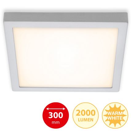 Briloner 7142-014 - Plafonnier LED FIRE LED/21W/230V 3000K