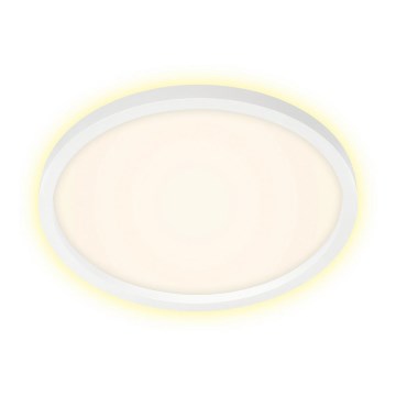 Briloner 7363-016 - Plafonnier LED CADRE LED/22W/230V d. 42,5 cm blanc