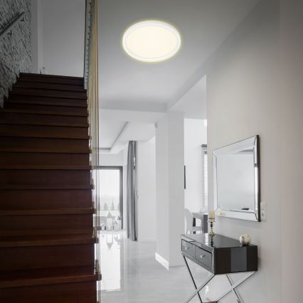 Briloner 7363-016 - Plafonnier LED CADRE LED/22W/230V d. 42,5 cm blanc