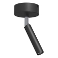 Brosline - Spot 1xG9/2,5W/230V noir