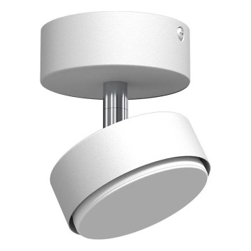 Brosline - Spot 1xGX53/9W/230V blanc
