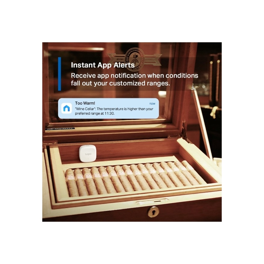 Capteur intelligent de température et d'humidité 1xCR2450