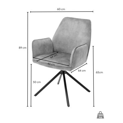 Chaises de salle à manger NEXORO, lot de 2, anthracite