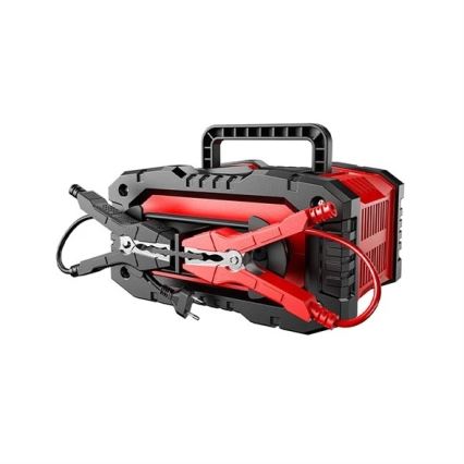 Chargeur de batteries 300 W / 230 V