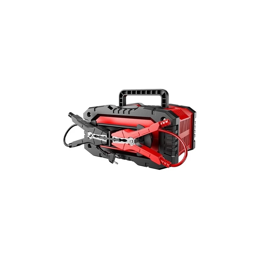 Chargeur de batteries 300 W / 230 V