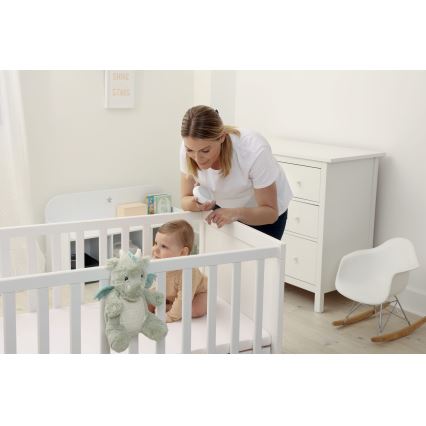 Cloud B - Doudou dragon avec mélodie et lumière + USB