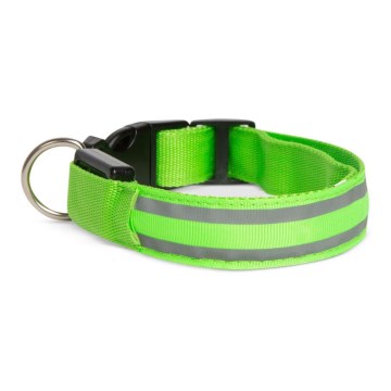Collier pour chien rechargeable 35-43 cm 1xCR2032/5V/40 mAh vert