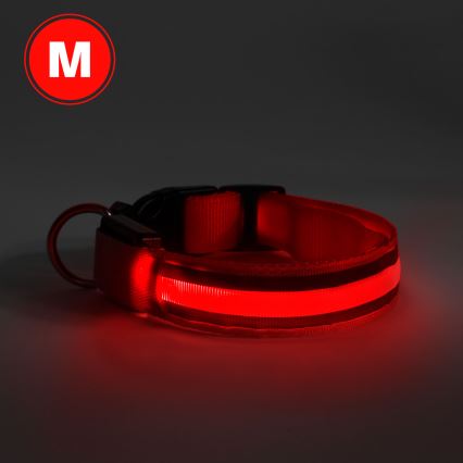 Collier pour chien rechargeable 40-48 cm 1xCR2032/5V/40 mAh rouge