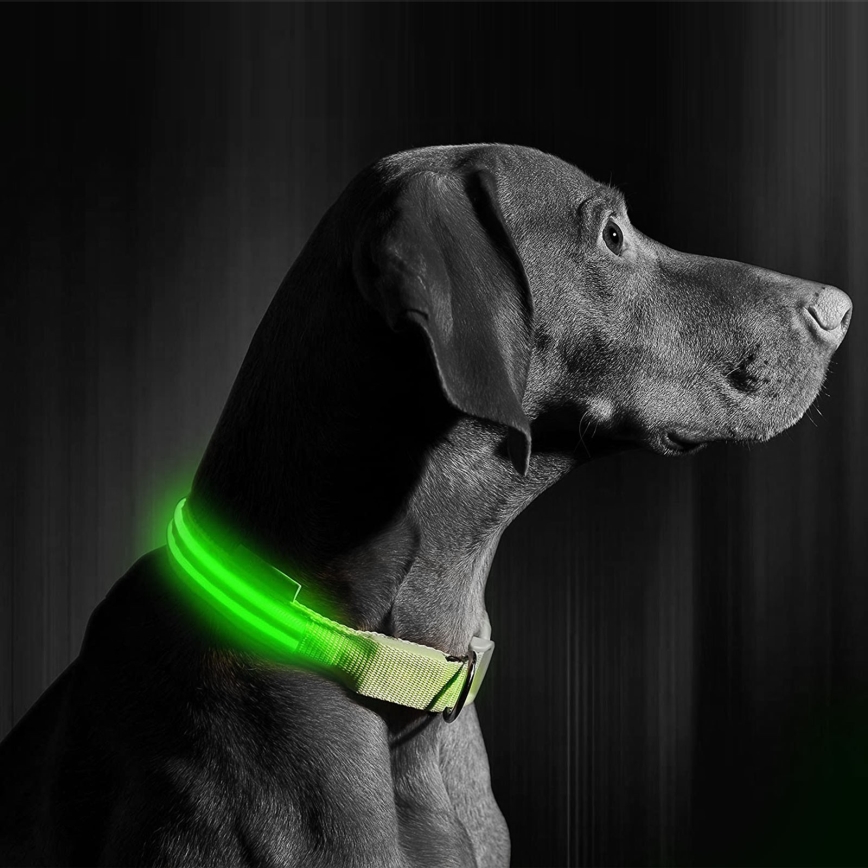 Collier pour chien rechargeable 45-52 cm 1xCR2032/5V/40 mAh vert
