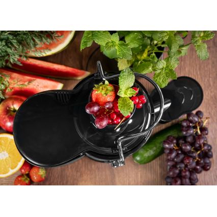 Concept LO7095 - Centrifugeuse 1000W/230V noir/inox