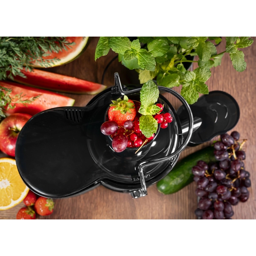 Concept LO7095 - Centrifugeuse 1000W/230V noir/inox