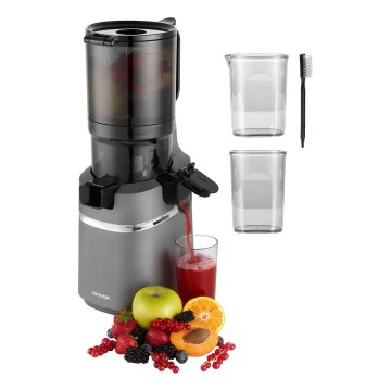 Concept LO7120 - Extracteur de jus JUICY 250W/230V gris