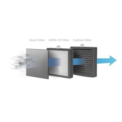 Concept OV1210 - Déshumidificateur et purificateur d'air PERFECT AIR 1 l 45 W/230 V noir