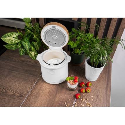 Concept RE3030 - Cuiseur à riz numérique 2 en 1 380 W/230 V 1,5 l blanc/décor bois