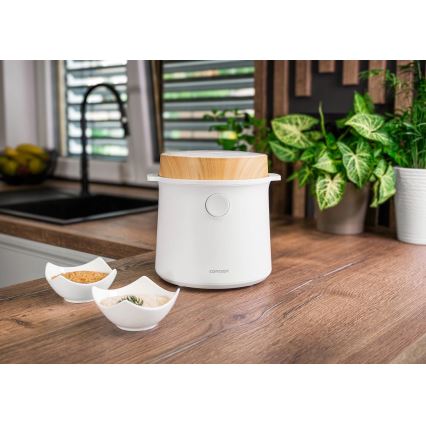 Concept RE3030 - Cuiseur à riz numérique 2 en 1 380 W/230 V 1,5 l blanc/décor bois