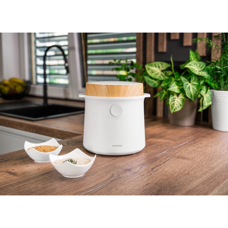 Concept RE3030 - Cuiseur à riz numérique 2 en 1 380 W/230 V 1,5 l blanc/décor bois