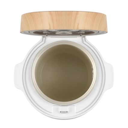 Concept RE3030 - Cuiseur à riz numérique 2 en 1 380 W/230 V 1,5 l blanc/décor bois