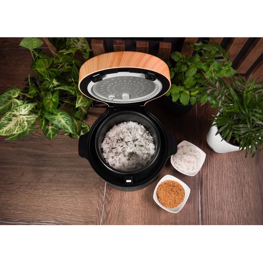 Concept RE4040 - Cuiseur à riz numérique 2 en 1 450 W/230 V 2 l noir/décor bois