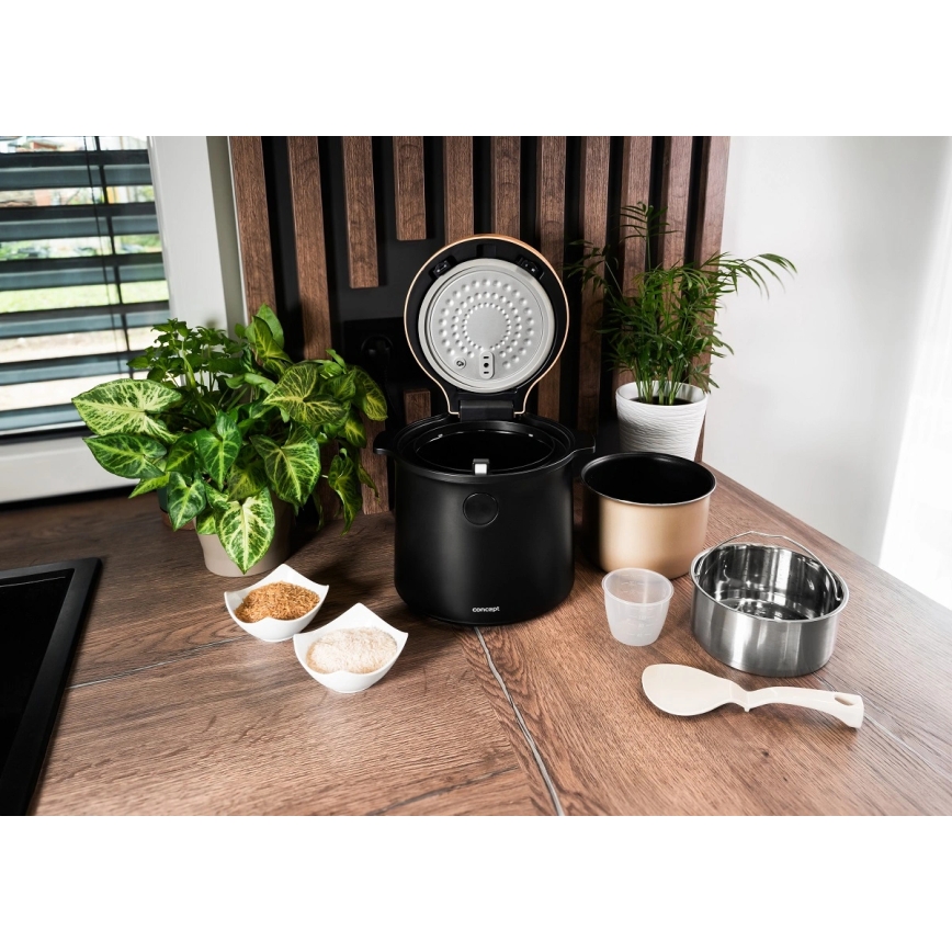 Concept RE4040 - Cuiseur à riz numérique 2 en 1 450 W/230 V 2 l noir/décor bois