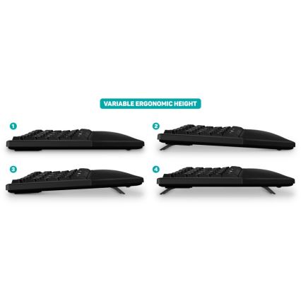 CONNECT IT CKB-2800-CS - Clavier sans fil ergonomique avec localisation CZ/SK noir