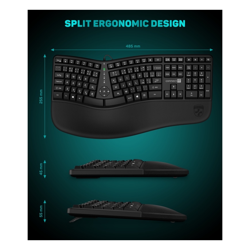 CONNECT IT CKB-2800-CS - Clavier sans fil ergonomique avec localisation CZ/SK noir