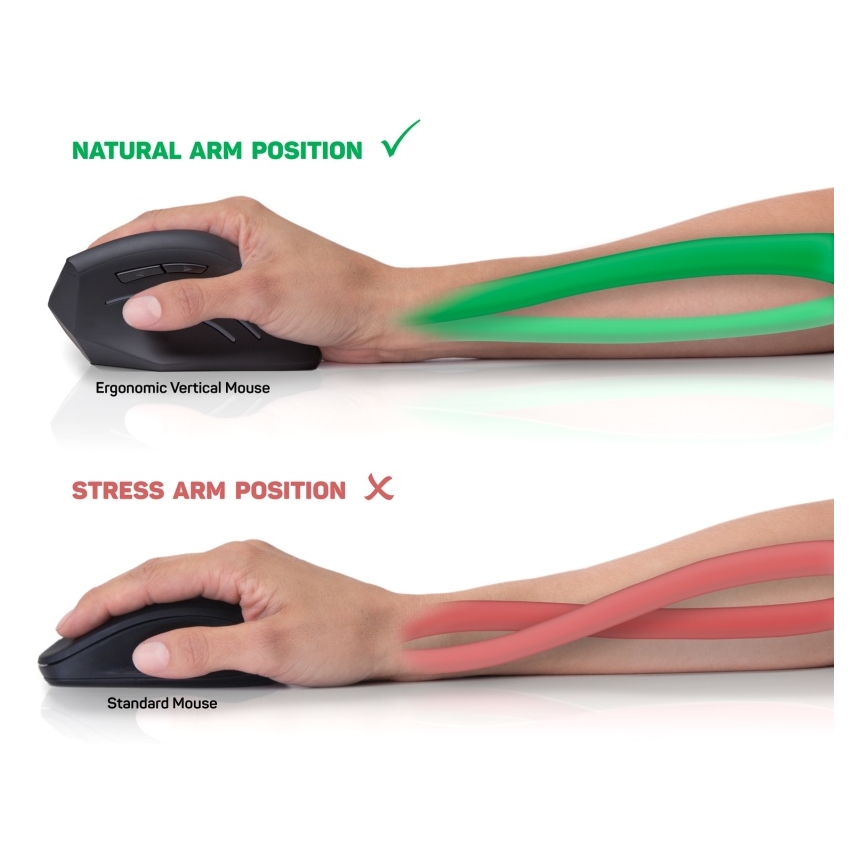 CONNECT IT CMO-2510-BK - Souris sans fil ergonomique Verti Wireless 800/1200/1600 PPP 2x AAA noire