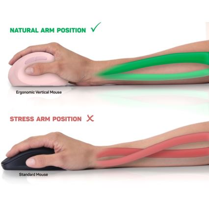 CONNECT IT CMO-2600-PK - Souris sans fil ergonomique 800/1200/1600 DPI, 1 pile AA, rose