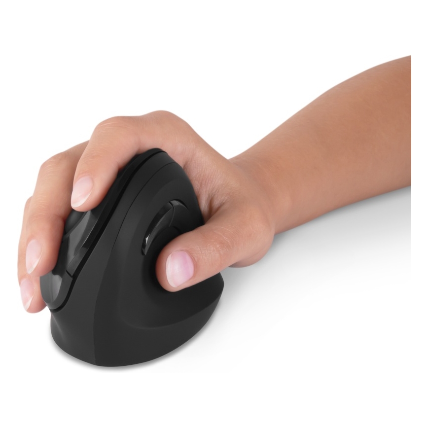 CONNECT IT CMO-2700-BK - Souris sans fil ergonomique 800/1200/1600 DPI 1xAA noir