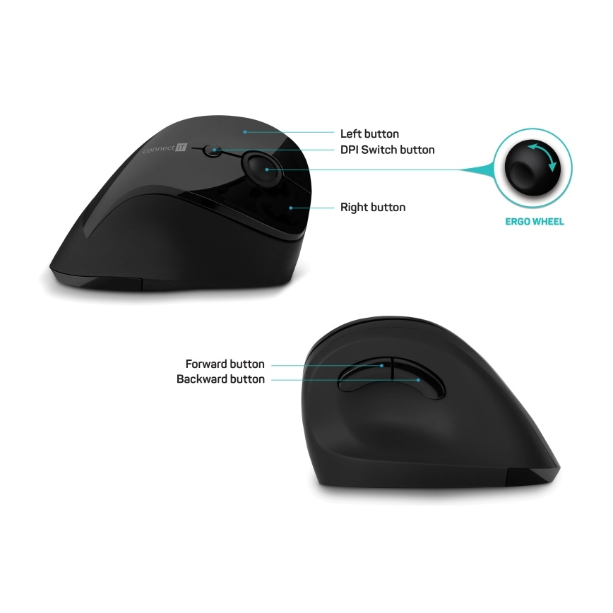 CONNECT IT CMO-2700-BK - Souris sans fil ergonomique 800/1200/1600 DPI 1xAA noir