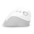 CONNECT IT CMO-2700-WH - Souris sans fil ergonomique 800/1200/1600 DPI 1xAA blanc