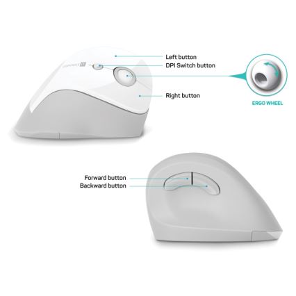 CONNECT IT CMO-2700-WH - Souris sans fil ergonomique 800/1200/1600 DPI 1xAA blanc