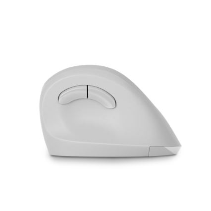 CONNECT IT CMO-2700-WH - Souris sans fil ergonomique 800/1200/1600 DPI 1xAA blanc