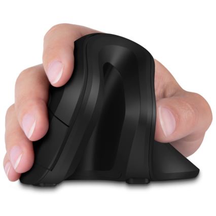 CONNECT IT CMO-2900-BK - Souris sans fil ergonomique 800/1200/1600 DPI 1xAA noir
