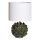 Cottex - Lampe de table ROSANNA 1xE14/8W/230V verte