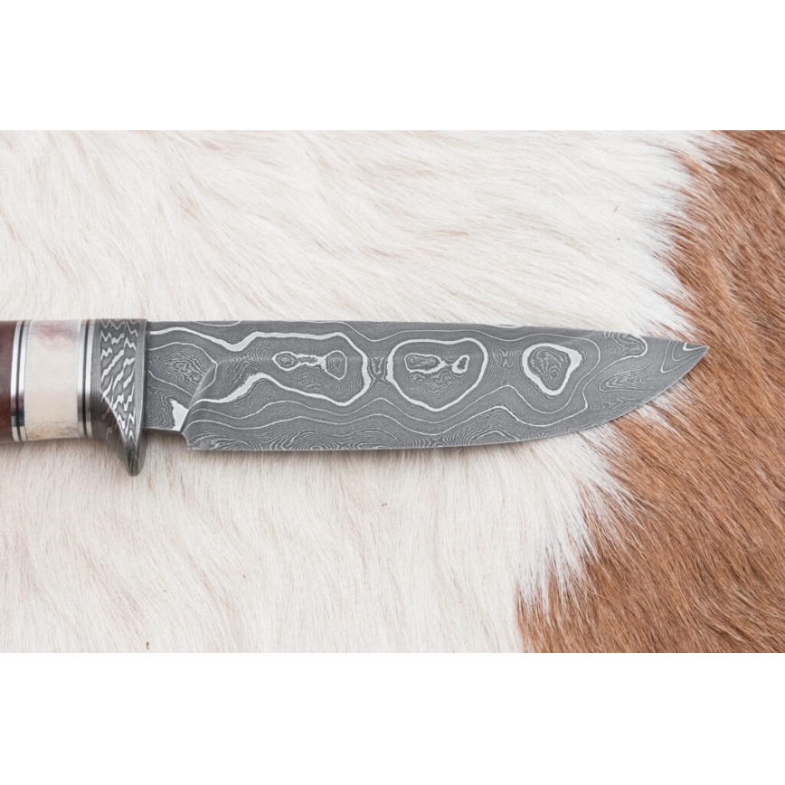 Couteau de chasse en acier de Damas 12,4 cm Bouleau/bois de renne