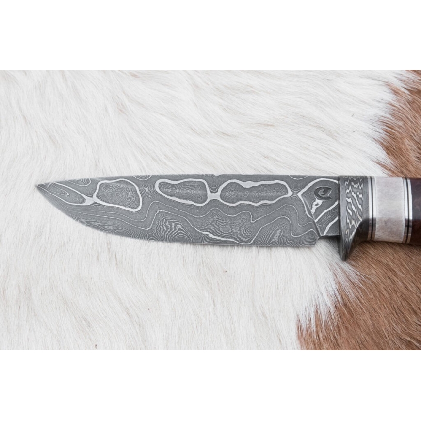 Couteau de chasse en acier de Damas 12,4 cm Bouleau/bois de renne