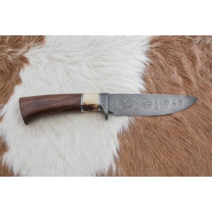 Couteau de chasse en acier de Damas 12,6 cm noyer/bois de cerf