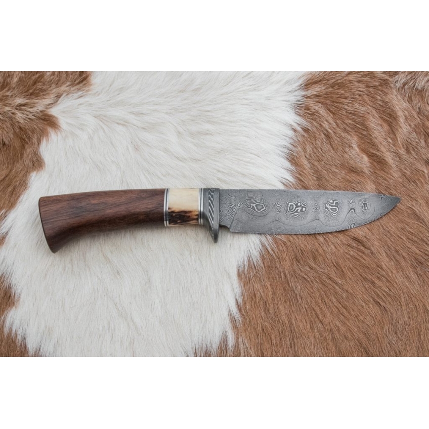Couteau de chasse en acier de Damas 12,6 cm noyer/bois de cerf