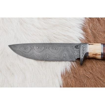 Couteau de chasse en acier de Damas 12,6 cm noyer/bois de cerf