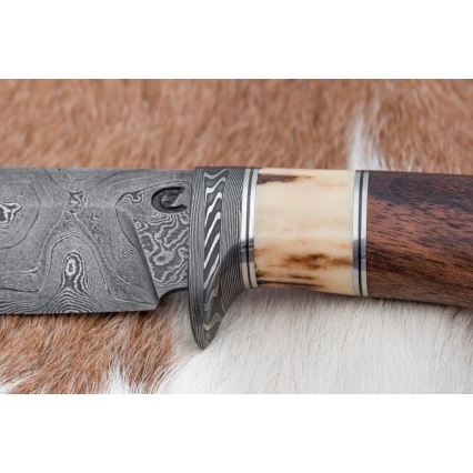 Couteau de chasse en acier de Damas 12,6 cm noyer/bois de cerf