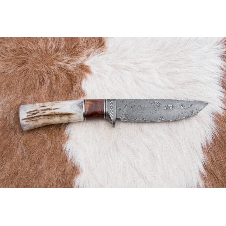 Couteau de chasse en acier de Damas 12 cm frêne/bois de cerf