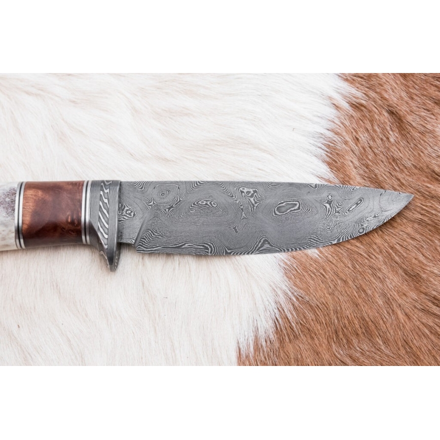 Couteau de chasse en acier de Damas 12 cm frêne/bois de cerf