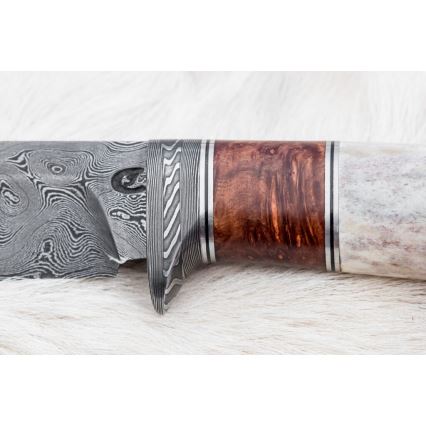 Couteau de chasse en acier de Damas 12 cm frêne/bois de cerf