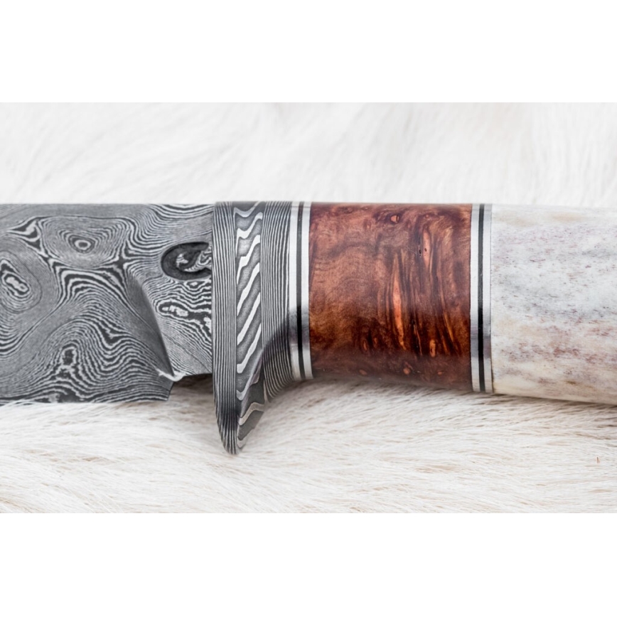 Couteau de chasse en acier de Damas 12 cm frêne/bois de cerf