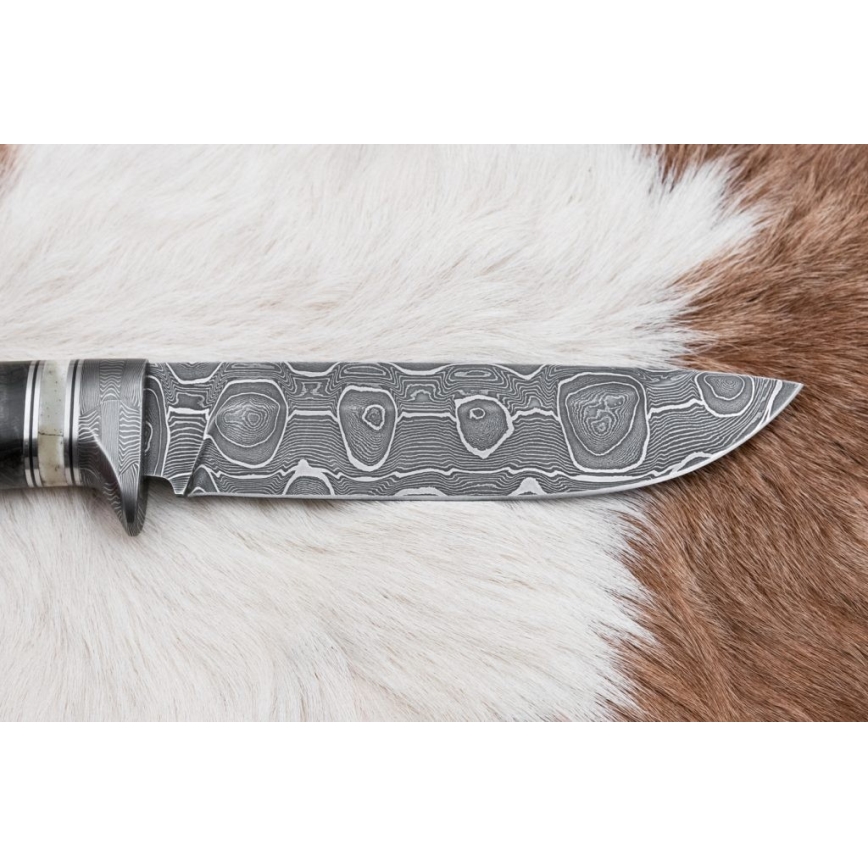Couteau de chasse en acier de Damas 13,8 cm Bouleau/os de chameau