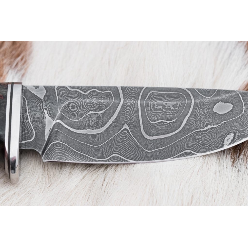 Couteau de chasse en acier de Damas 9,7 cm noyer/érable