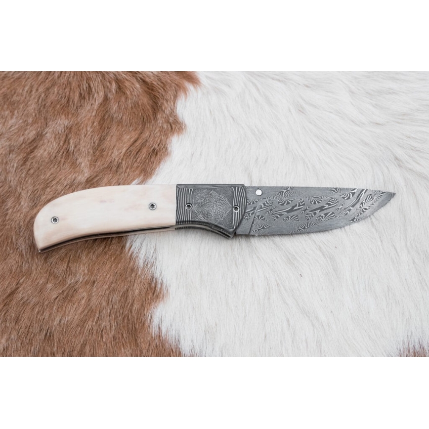 Couteau pliant unique en acier de Damas 8,6 cm défense de mammouth