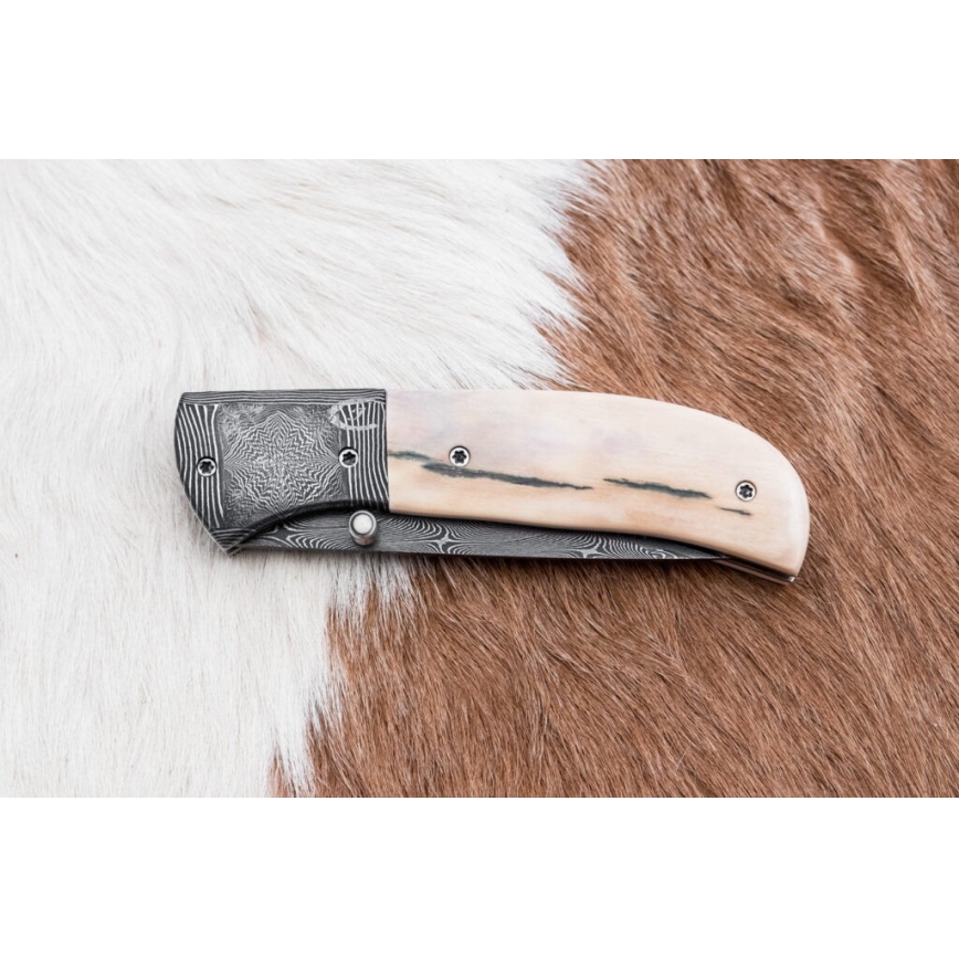 Couteau pliant unique en acier de Damas 8,6 cm défense de mammouth