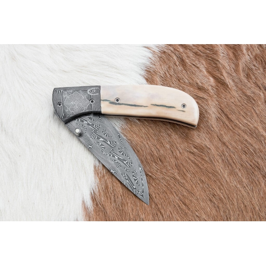 Couteau pliant unique en acier de Damas 8,6 cm défense de mammouth